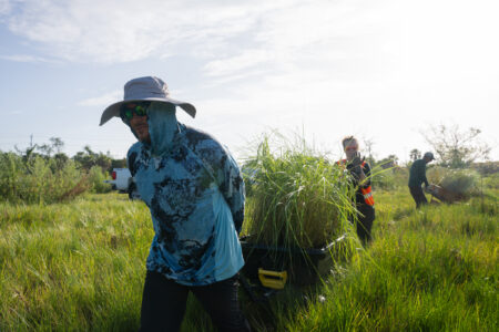 article image - REFUGE DDWS VOLUNTEER FU
